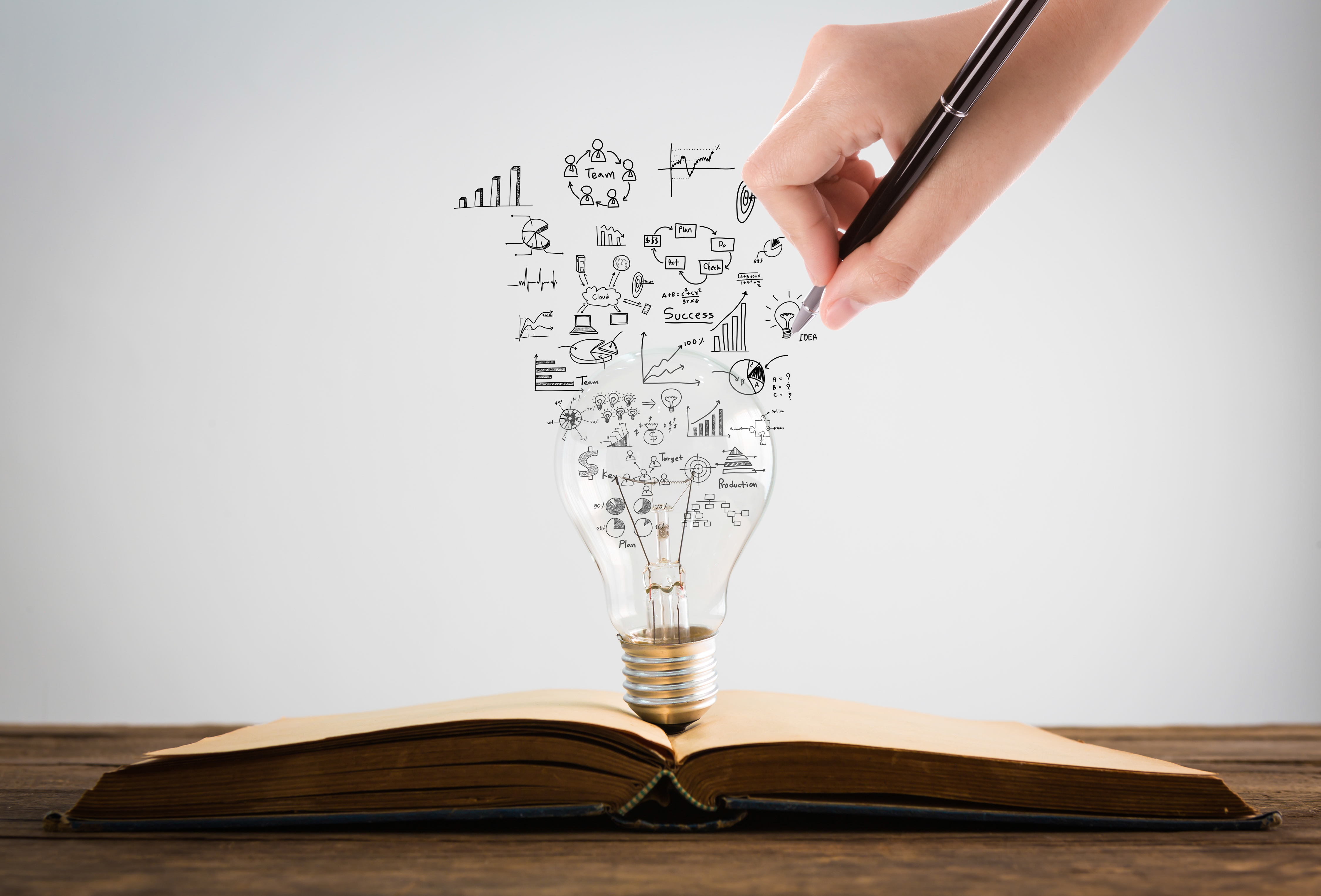 Technical Writing and Translation ( ENG301 - Section  11 )
